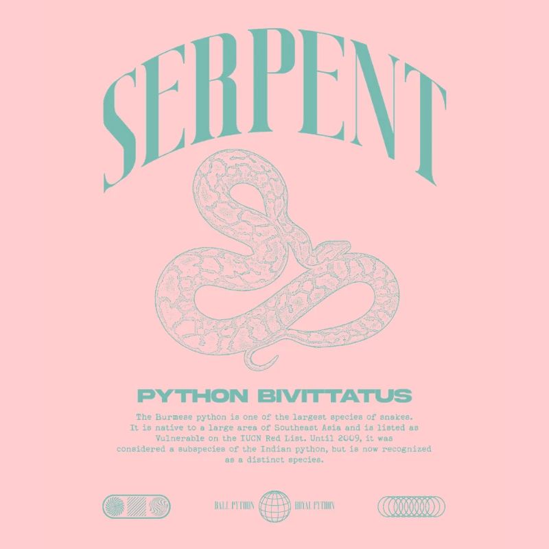 Python Birman Moderne Reptile Keeper Streetwear