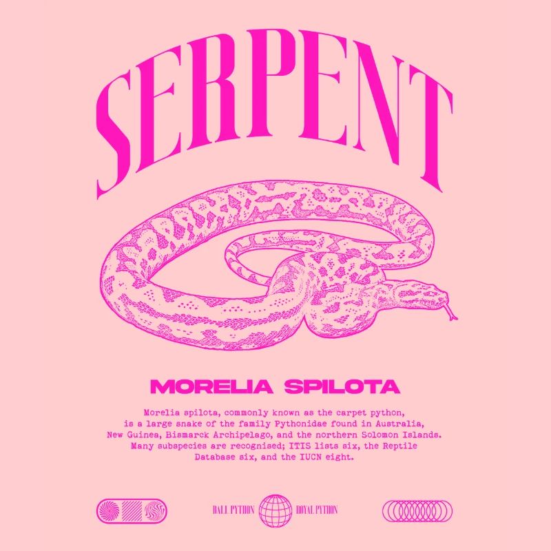 Carpet Python Modern Reptile Keeper Streetwear