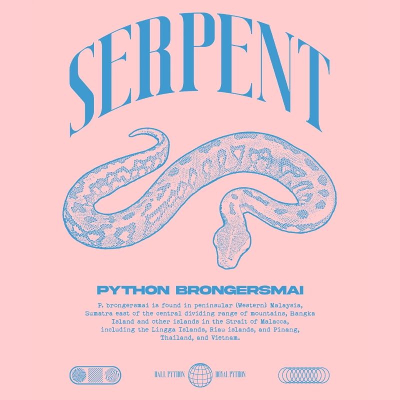 python de sang moderne reptile keeper streetwear