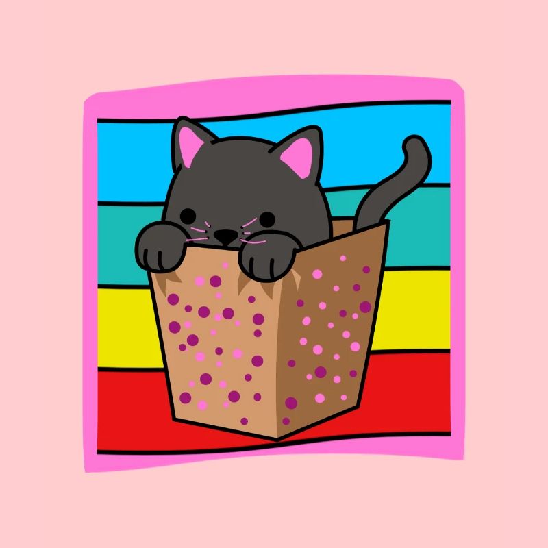 Chat dans une boîte