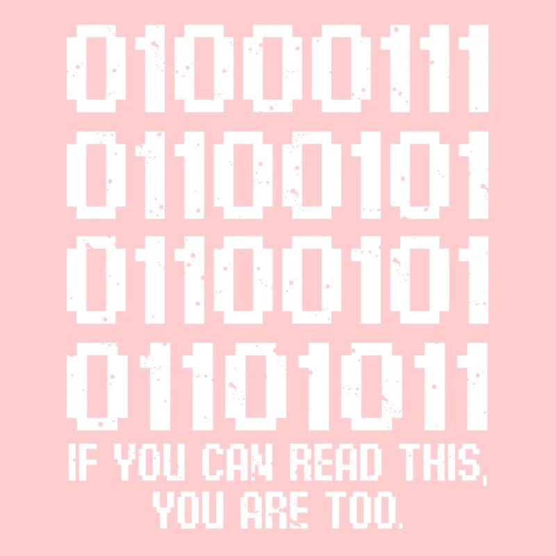 IT Geek, Accessoires PC Périphériques de stockage Evolution