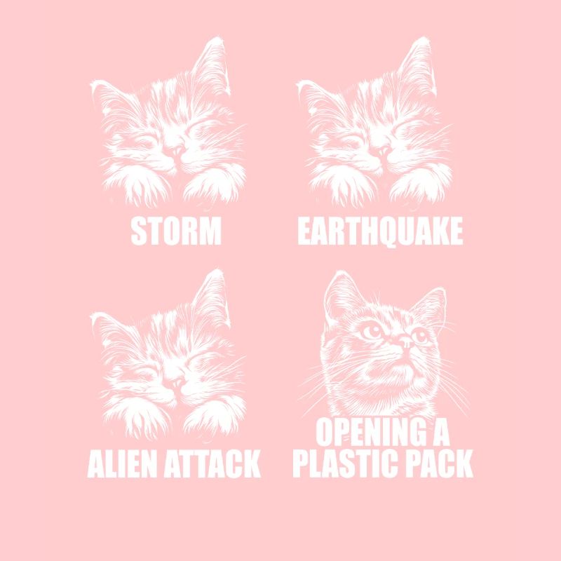 Cat - selective perception - saying