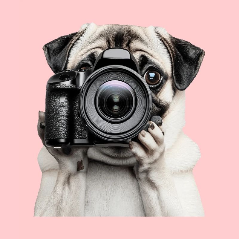 Mops