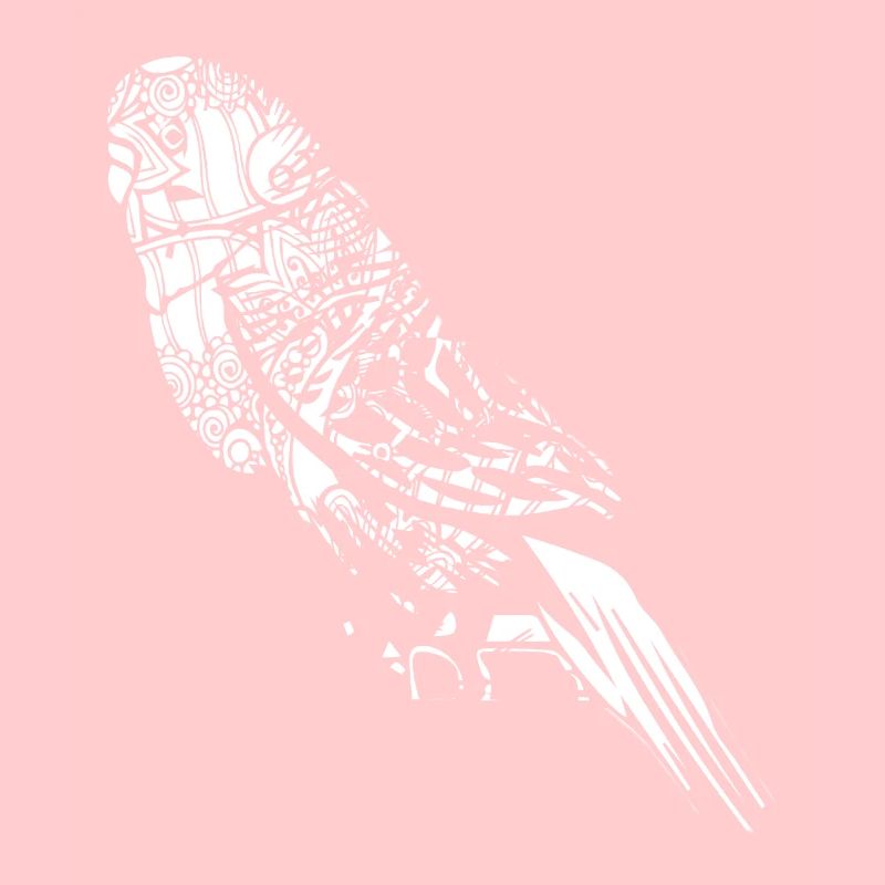 Parakeet Floral Pattern