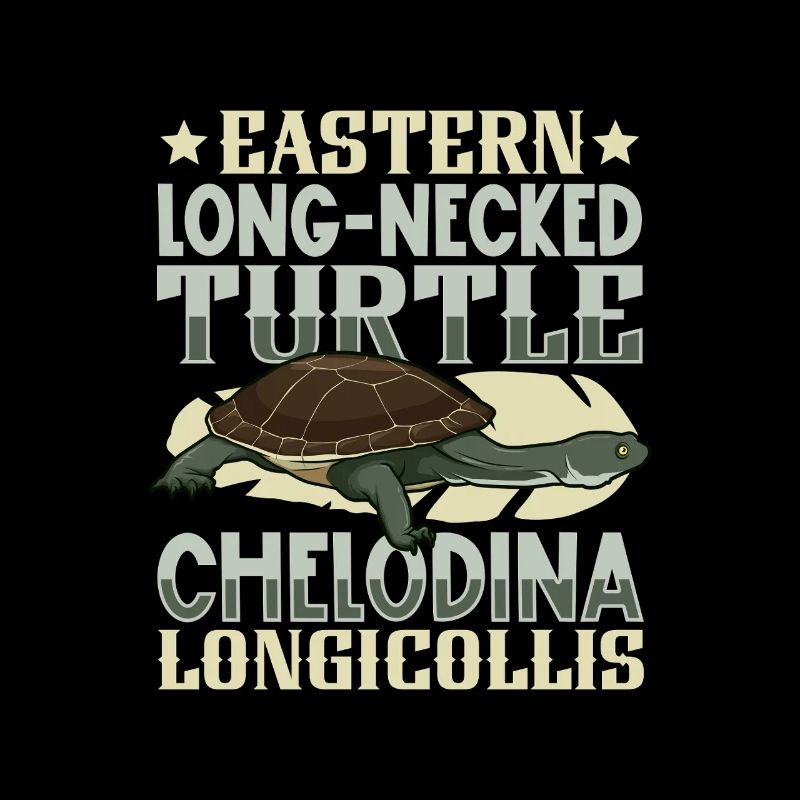 Flat-backed tortoise