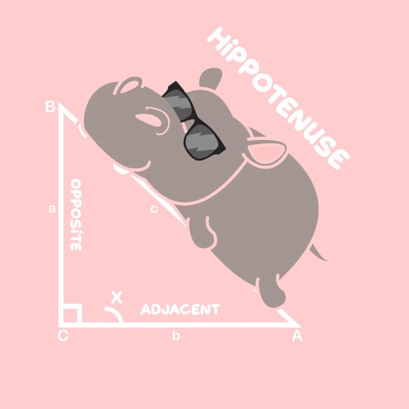 Hypotenuse Hippo Hippopotamus Math Geometry