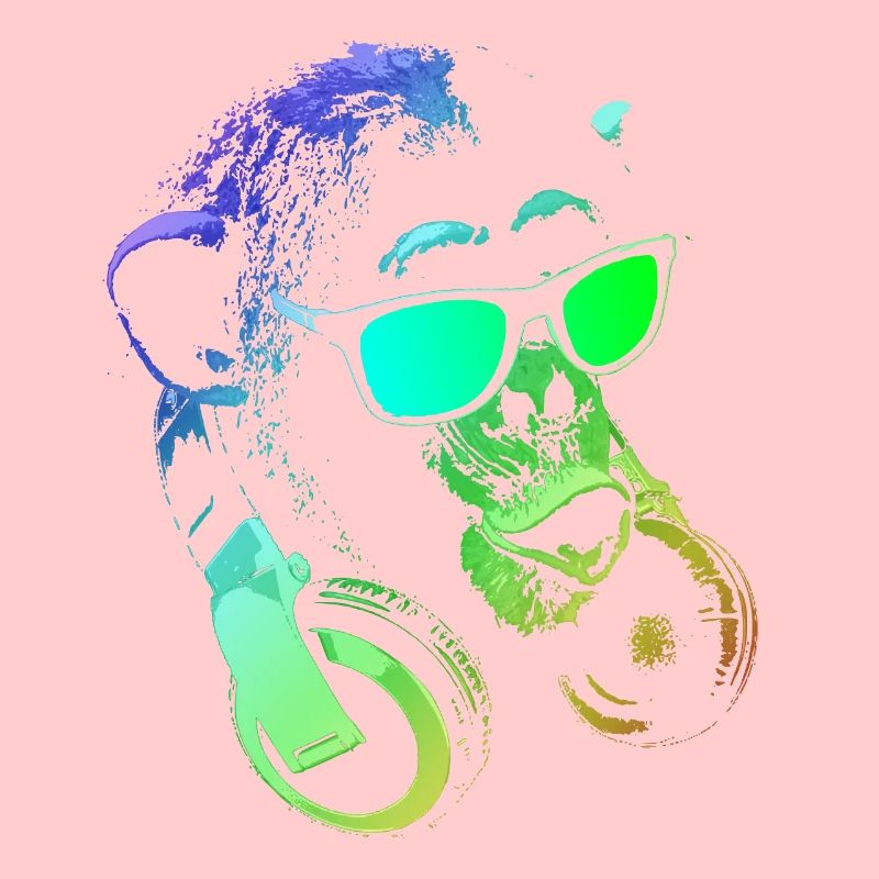 Monkey DJ