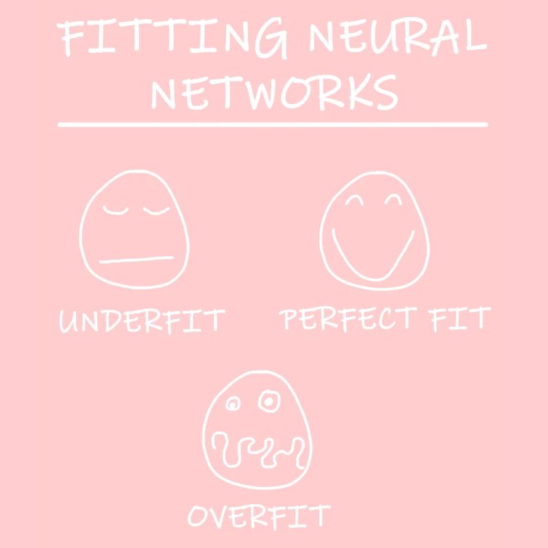 Datascience: Neural Networks Model Fitting (White)