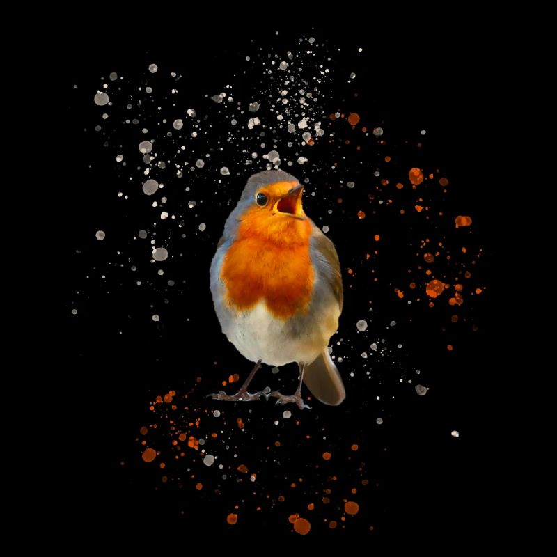 mignon gazouillis rouge-gorge Robin