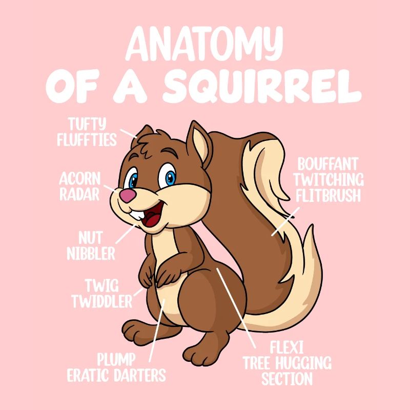 Anatomie eines Eichhörnchens