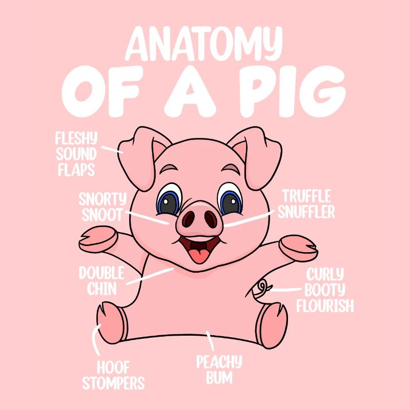 Anatomie eines Schweins