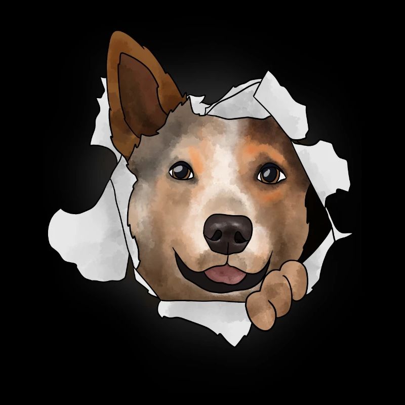 Australian Cattle Dog