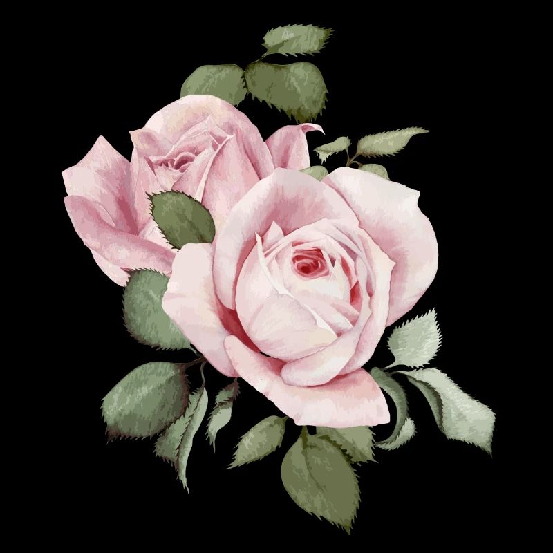 Roses