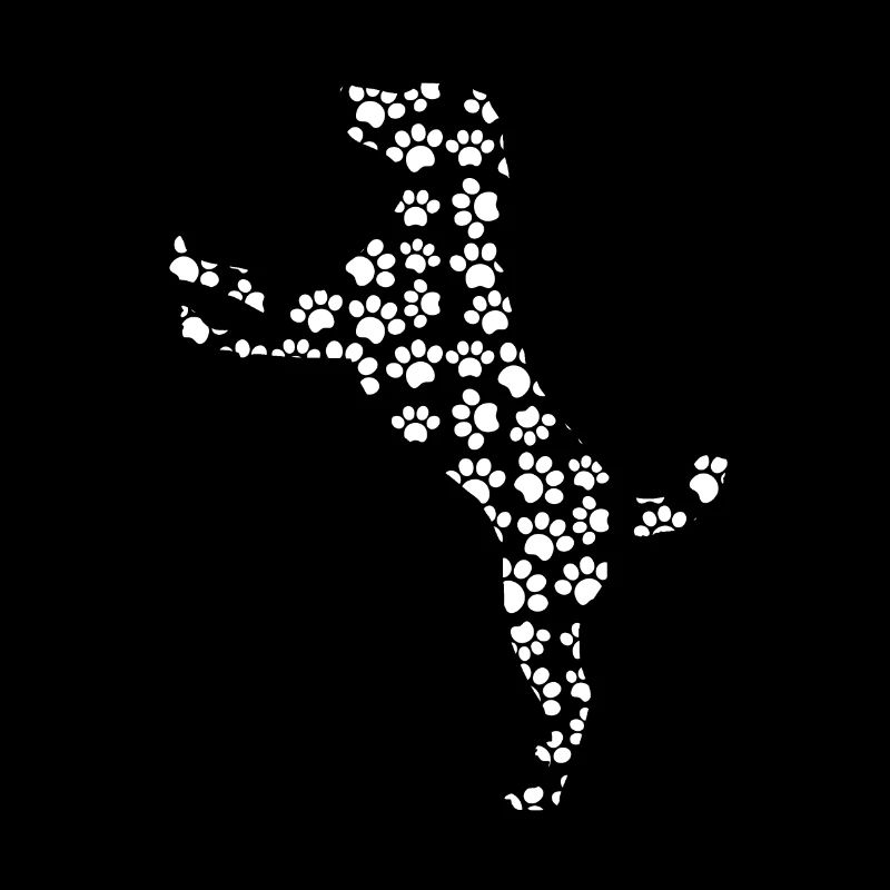 Labrador