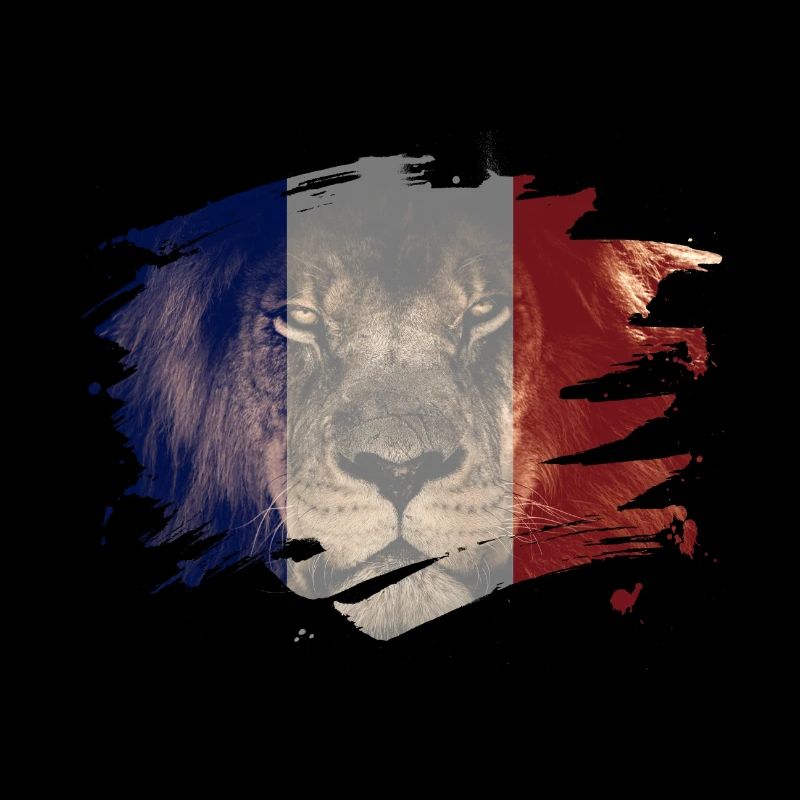 Drapeau france, lion africain, image