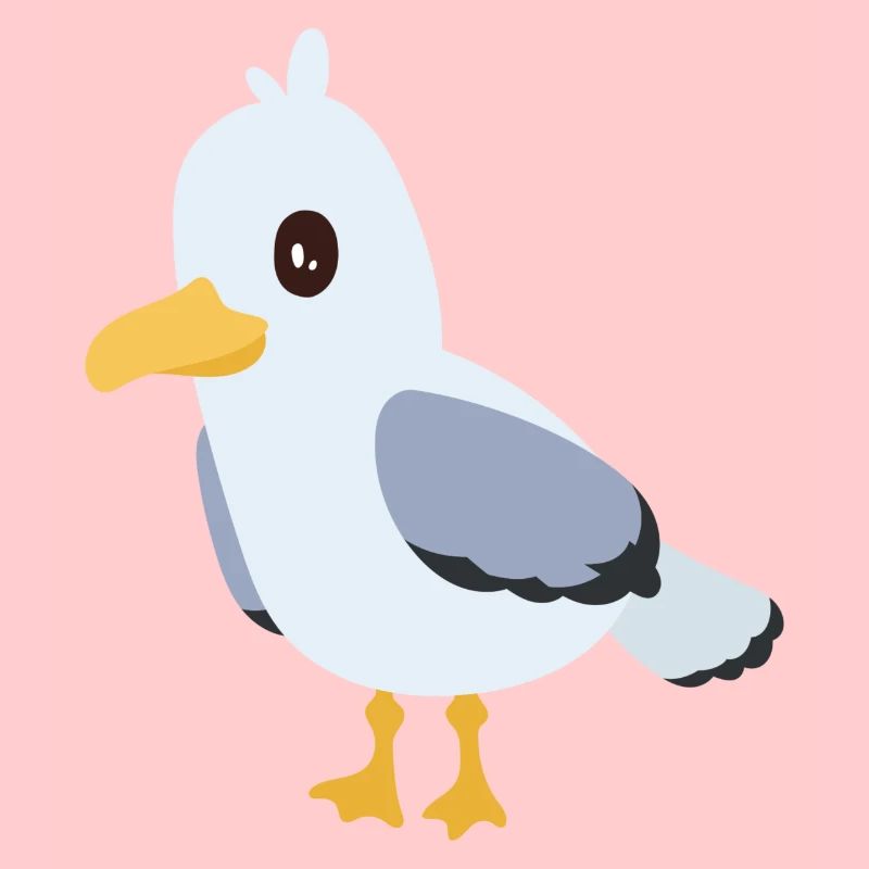 mouette
