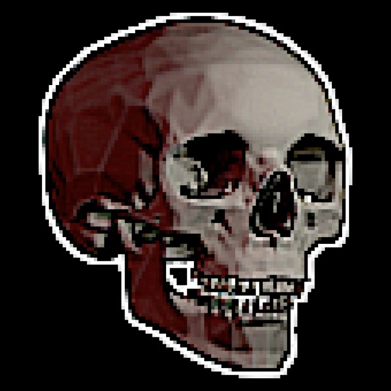 CRÂNE DE PIXEL
