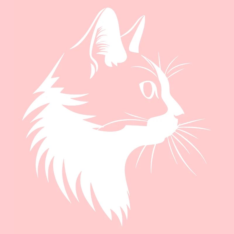 Chat, Motif De Chat
