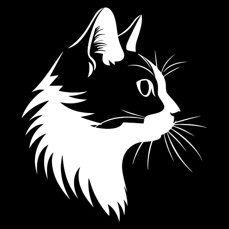 Chat, Motif De Chat