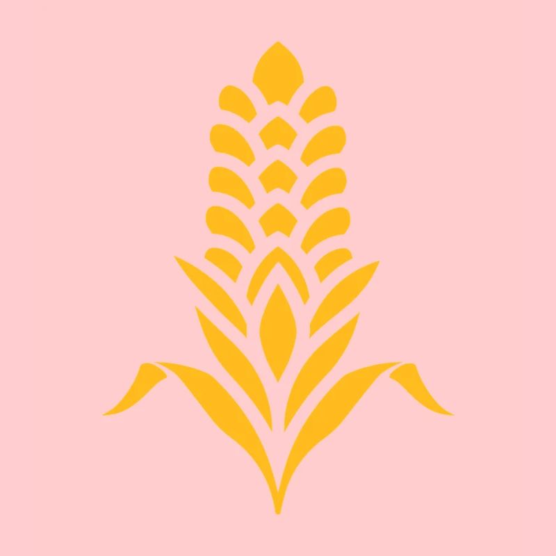 corn on the cob
