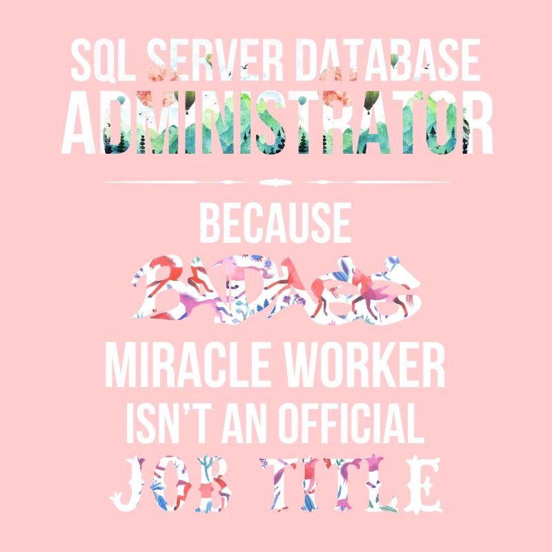 SQL Server Database Administrator - SQL Server