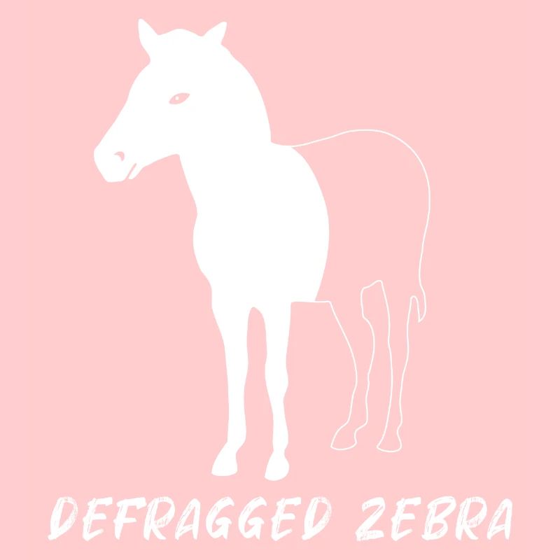 Defragged Zebra Admin Geek Programmer Gift