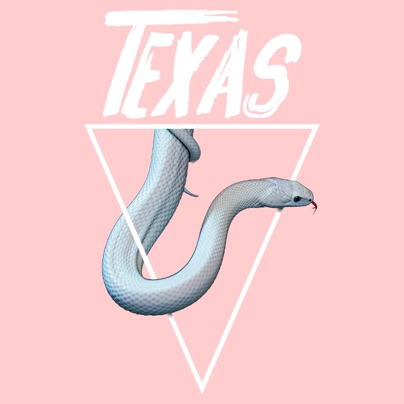 Texas Rat Snake Reptile Keeper Snake Propriétaire de serpent