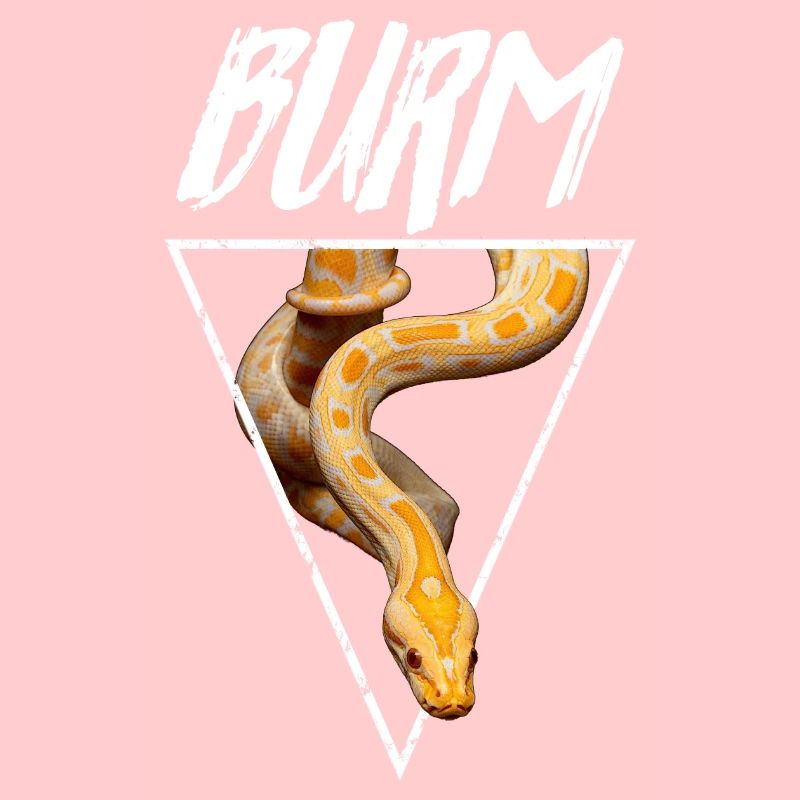 Albino Birmese Python Snake Owner