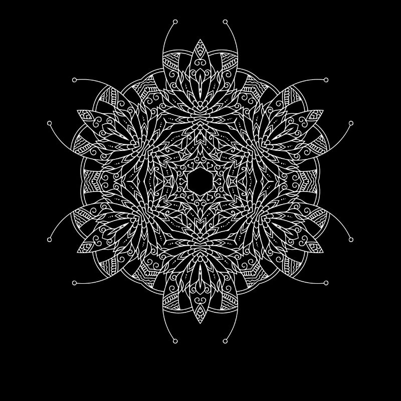 Fleurs Mandala