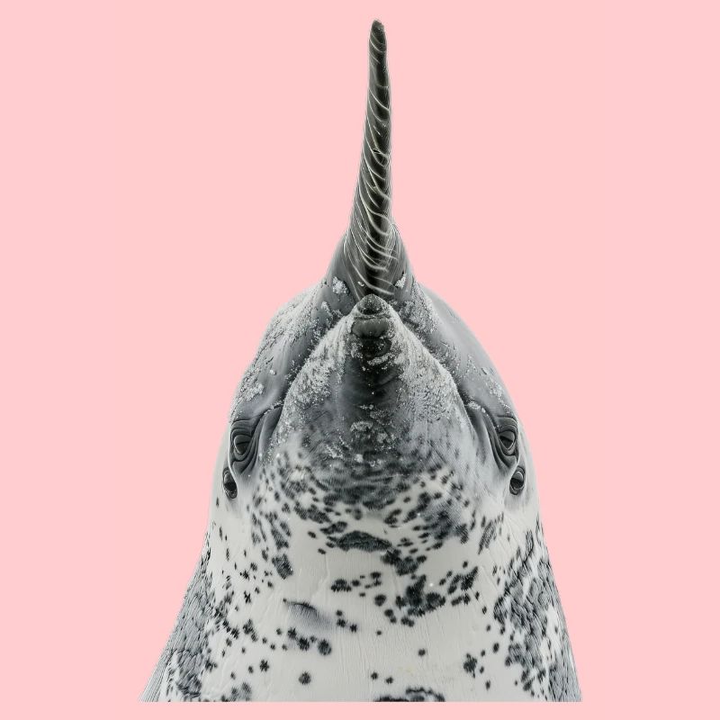 Narval