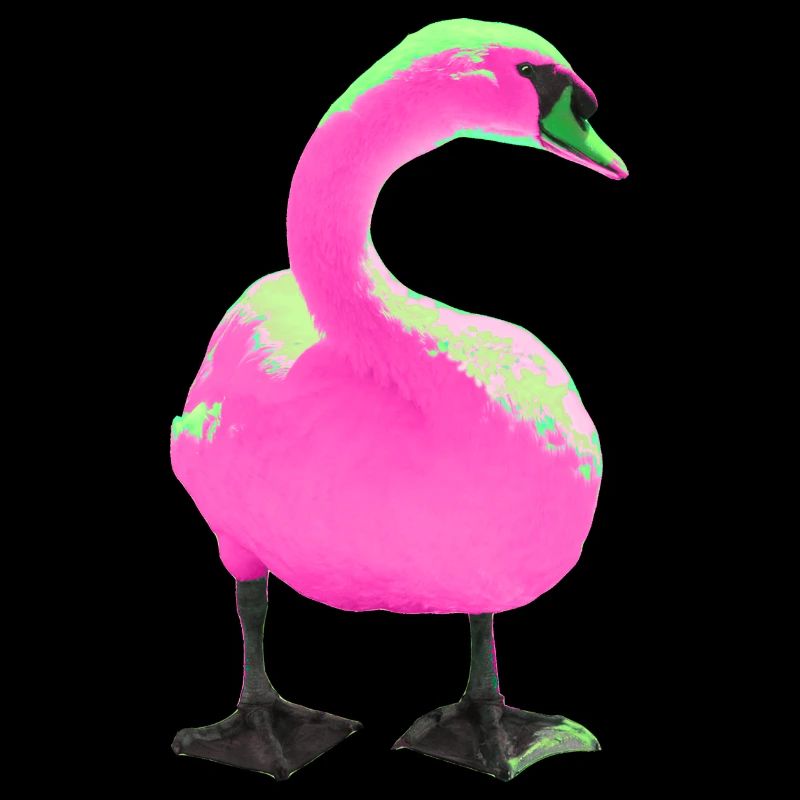 Swan