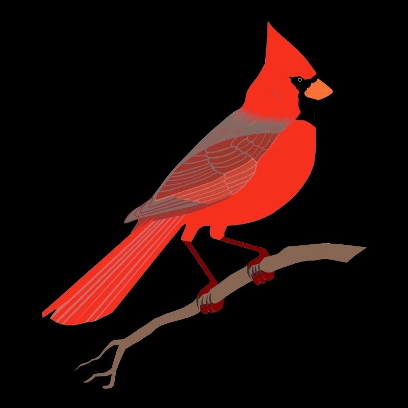 Cardinal