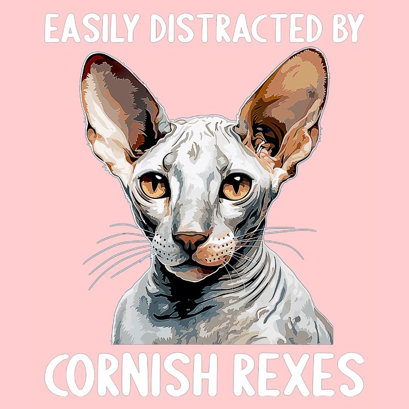 Cornish Rex Easily distracted by Cornish Rexes