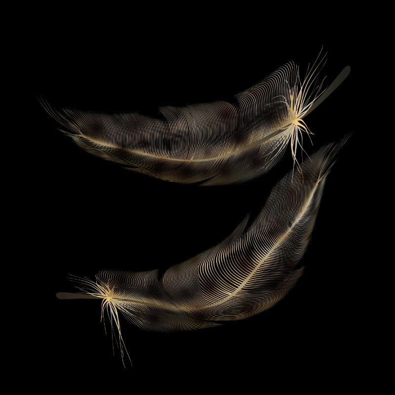 plumes teinte marron