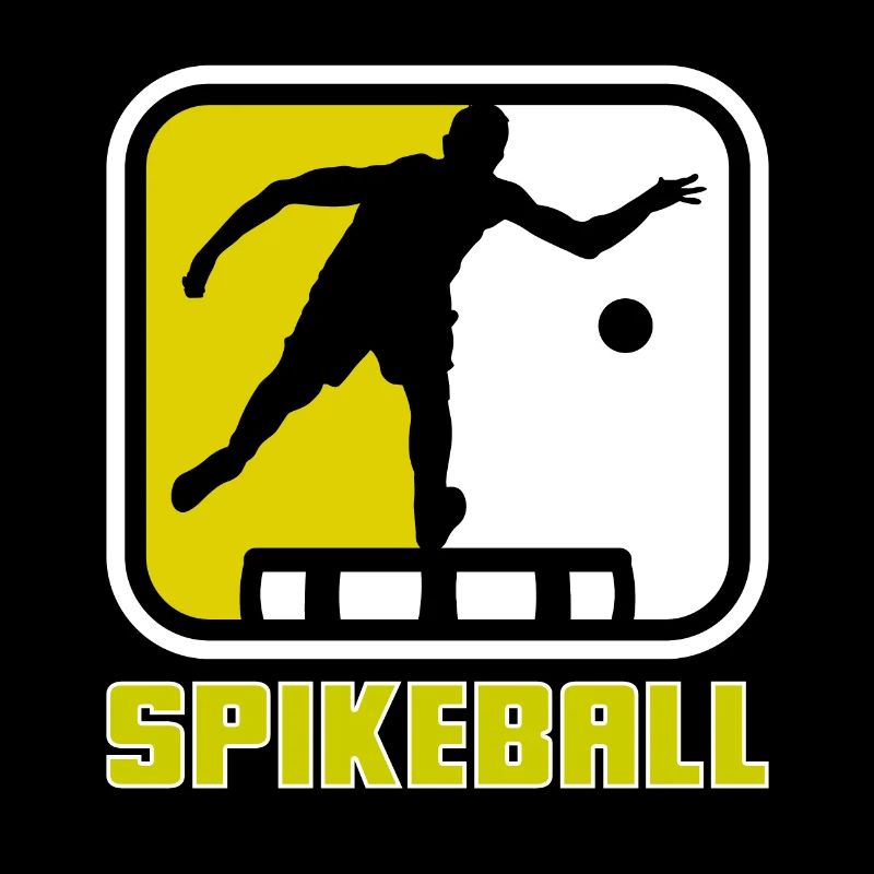 Roundnet Spike Ball Spikeball Fun