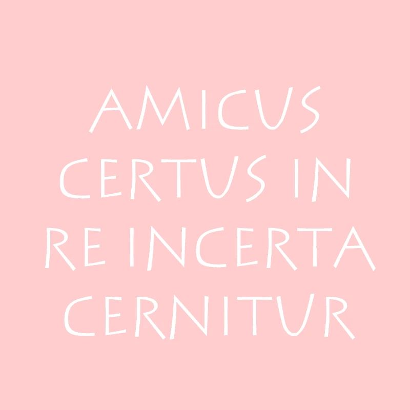 Amicus certus in re incerta cernitur