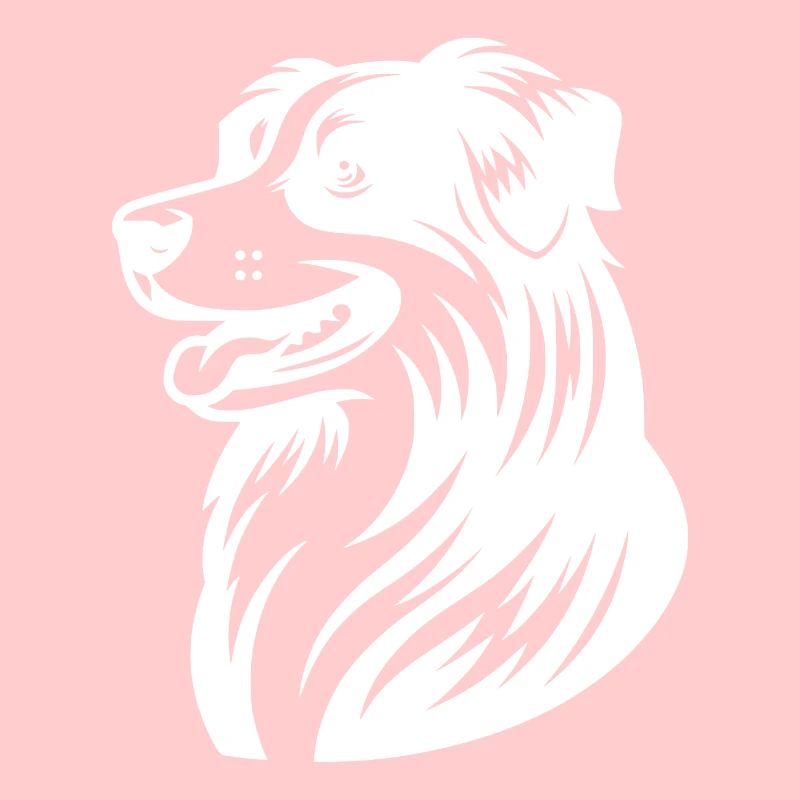 Knuffiger Australian Shepherd Hund Vierbeiner