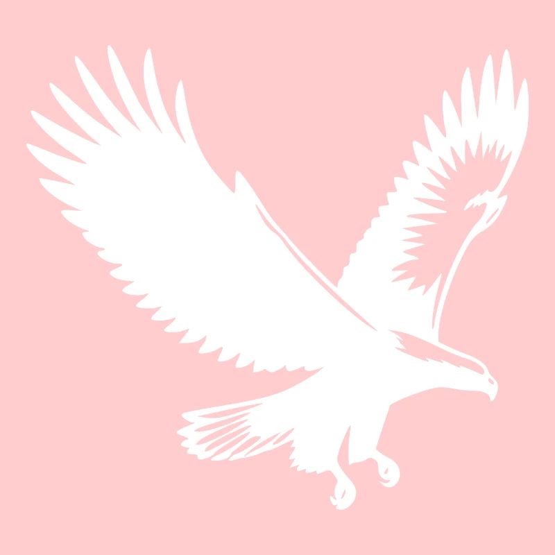 Elegant eagle approaching with broad wings