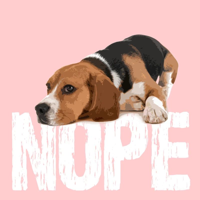 beagle hund