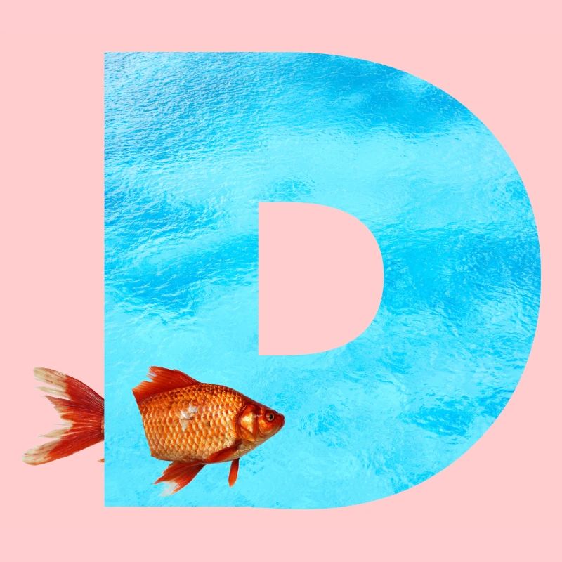 goldfisch d