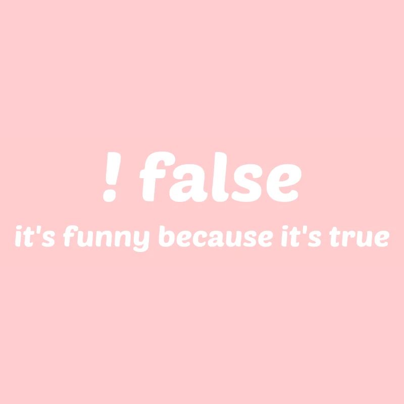 False It's Funny Because It's True Programmer Comp