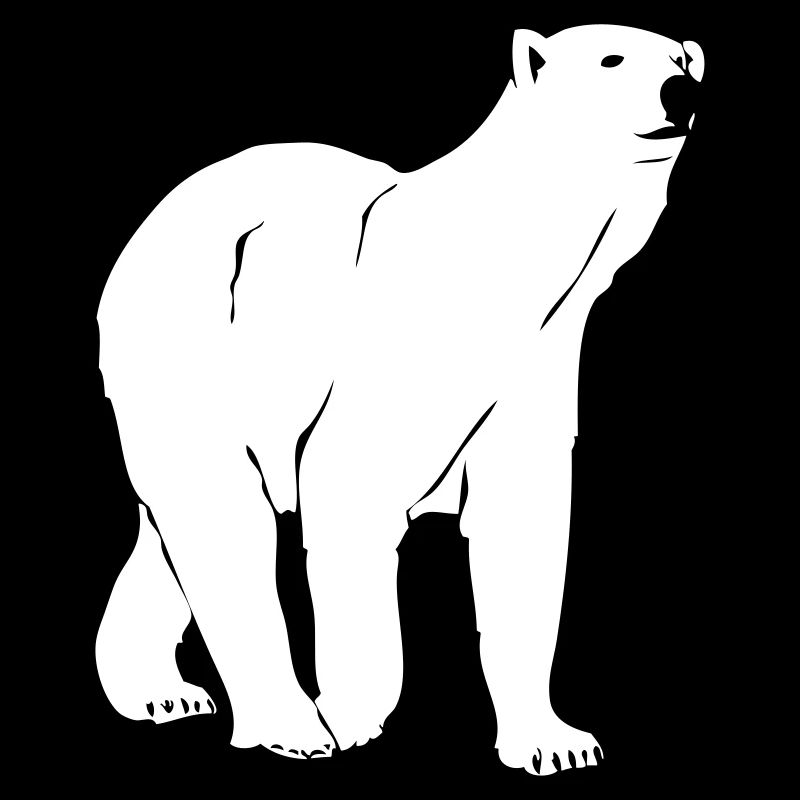 Polar bear - polar bear - arctic