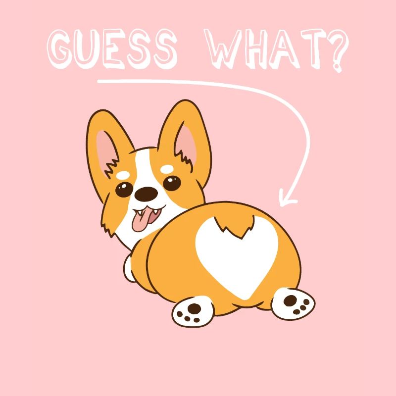 Corgi