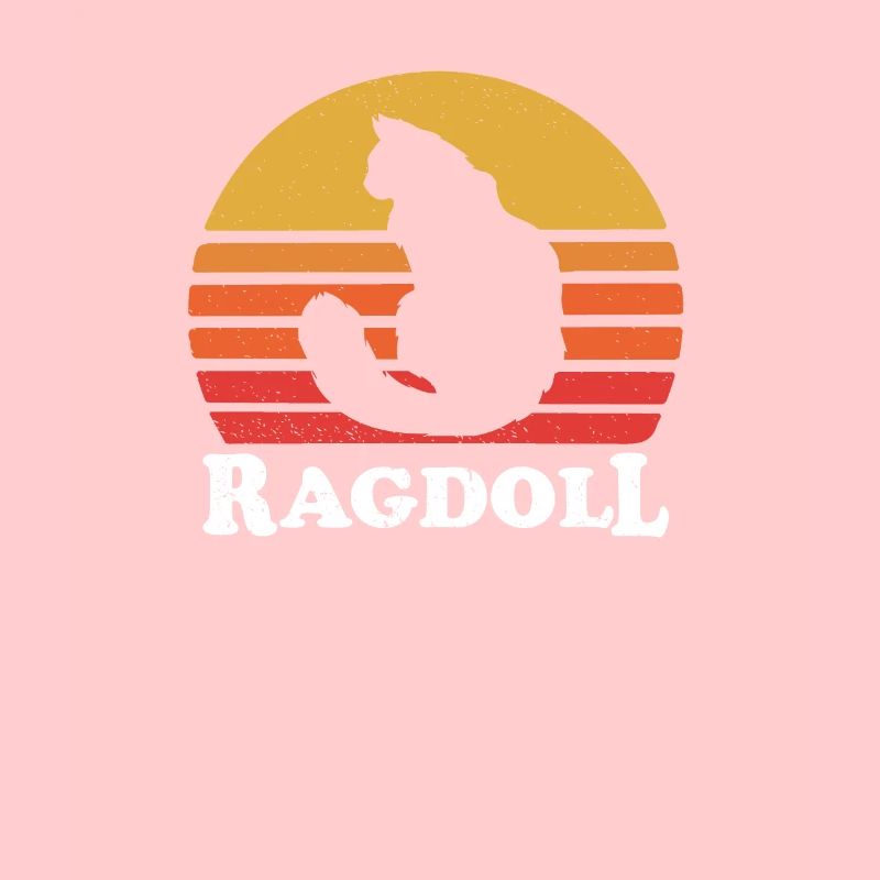 ragdoll cat