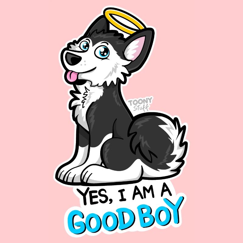 Good Boy Husky