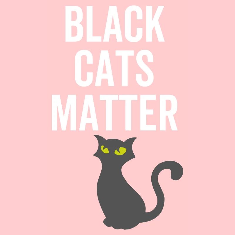 Les chats noirs comptent