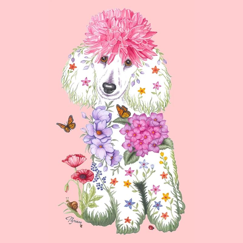 Spring poodle