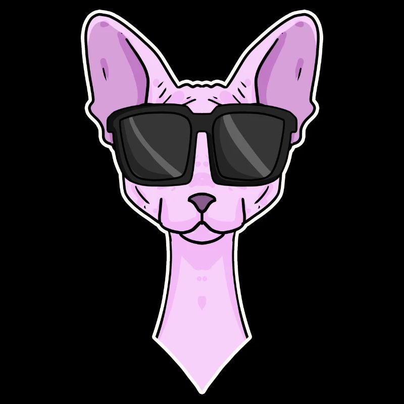 Chat cool avec lunettes de soleil - race de chat Sphynx