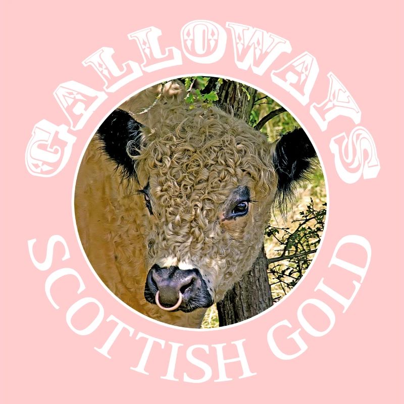 Galloway Galloway's Scottish Gold