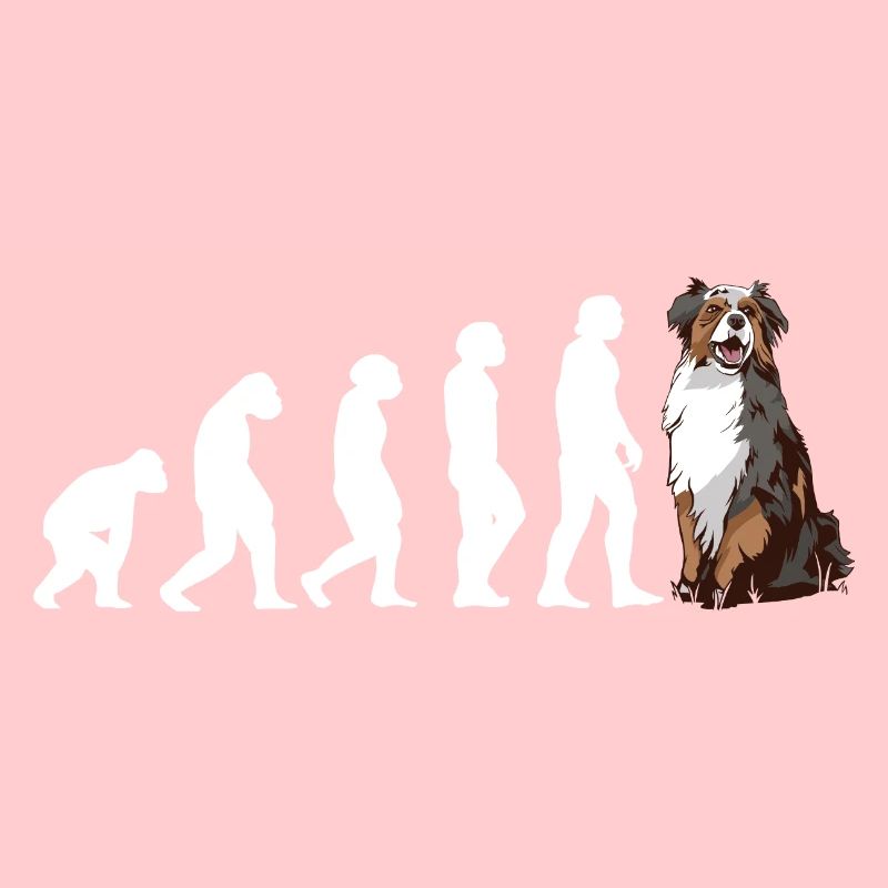 Dog Evolution Aussie